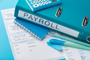 proffessional payroll services